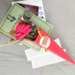 Sant Jordi Rosa Paper