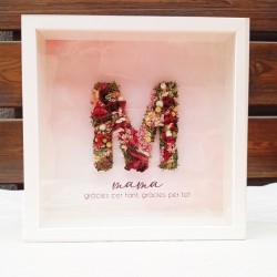 Marco Mamá Preservado