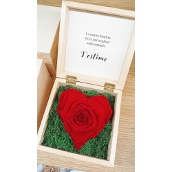 Rosa Preservada Història (CAT)