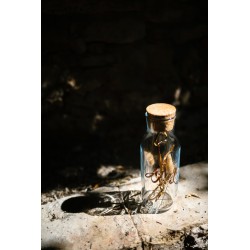 Porta Anillos personalizado